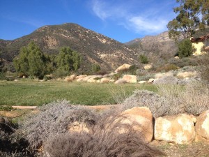 10 acres of beautiful land between Ojai & Santa Paula, California